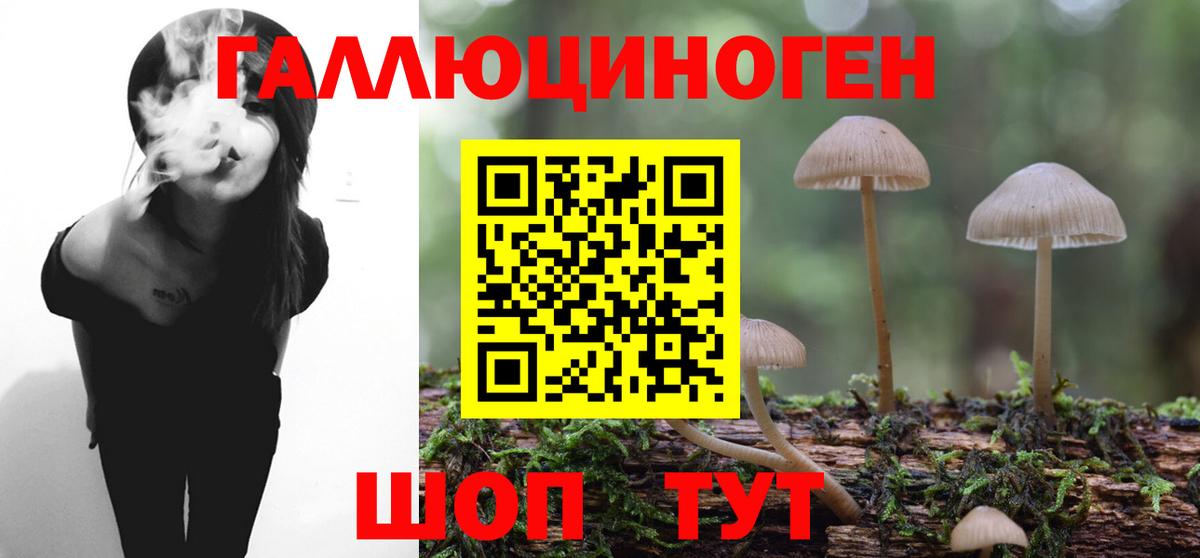 Губаха  Псилоцибиновые грибы мицелий  Вход с VPN 