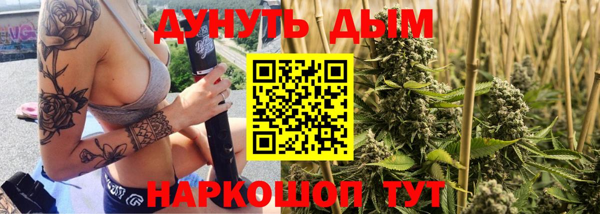 Каннабис семена  Марихуана план  Вход с VPN  Губаха  МАРИХУАНА ГИДРОПОН 